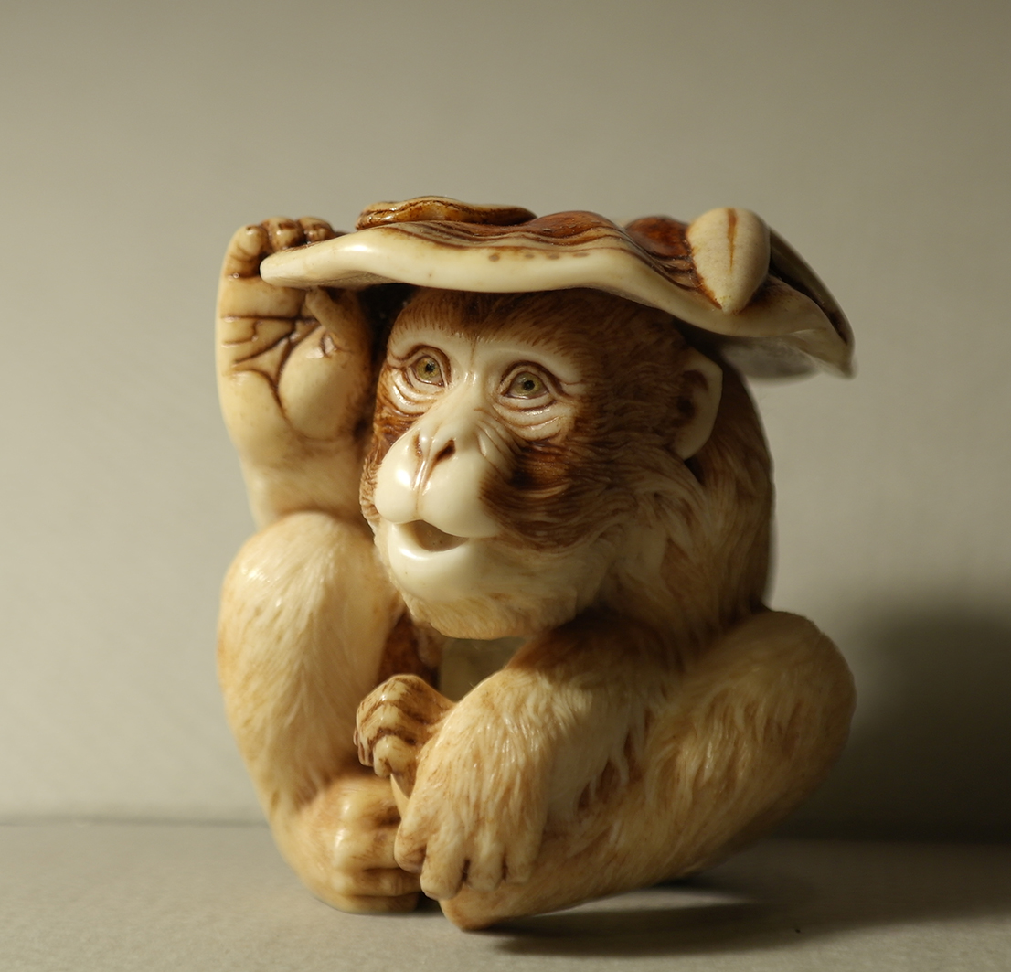 Monkey and reishi001a